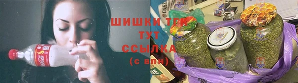 каннабис Новозыбков