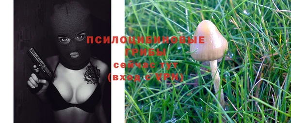 каннабис Новозыбков