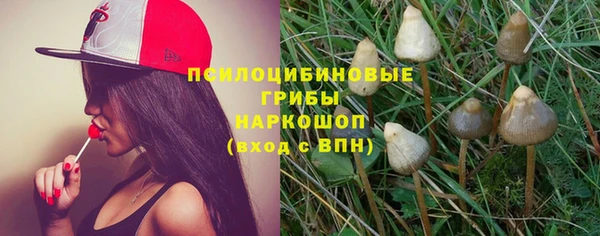 каннабис Новозыбков