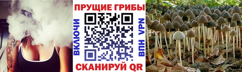 Галлюциногенные грибы мухоморы  Купить  Орск 